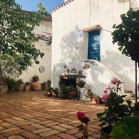 B&B Corte San Lussorio Oliena Dış mekan fotoğraf