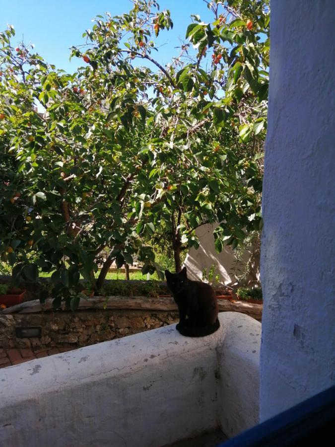B&B Corte San Lussorio Oliena Dış mekan fotoğraf