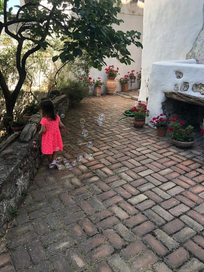 B&B Corte San Lussorio Oliena Dış mekan fotoğraf