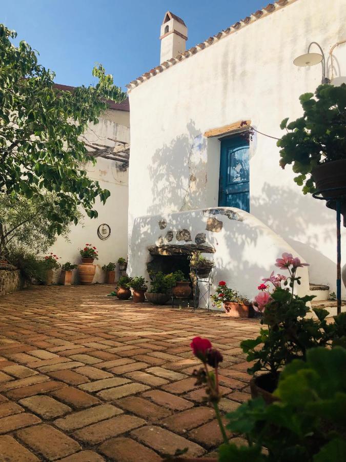 B&B Corte San Lussorio Oliena Dış mekan fotoğraf