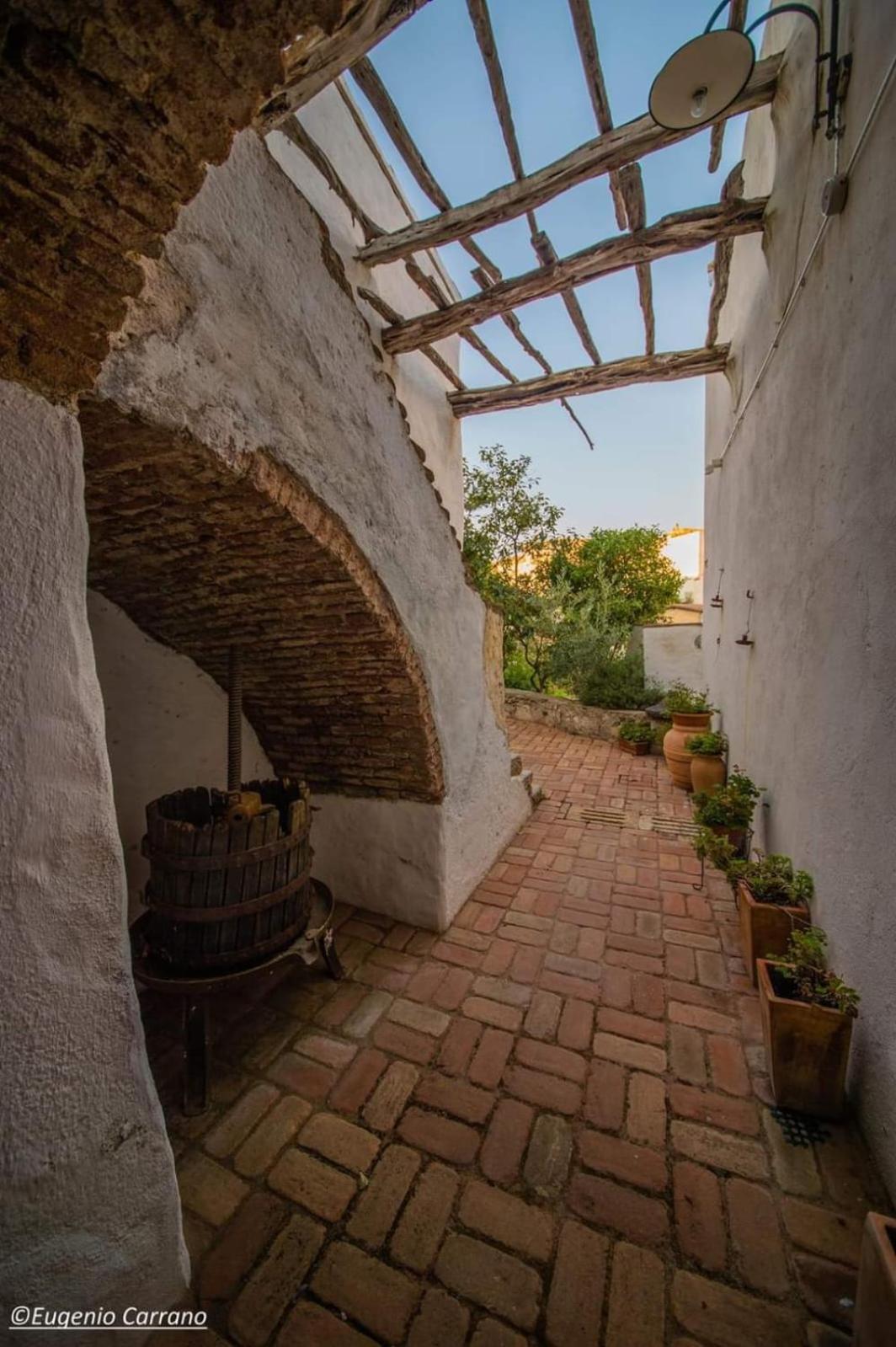 B&B Corte San Lussorio Oliena Dış mekan fotoğraf