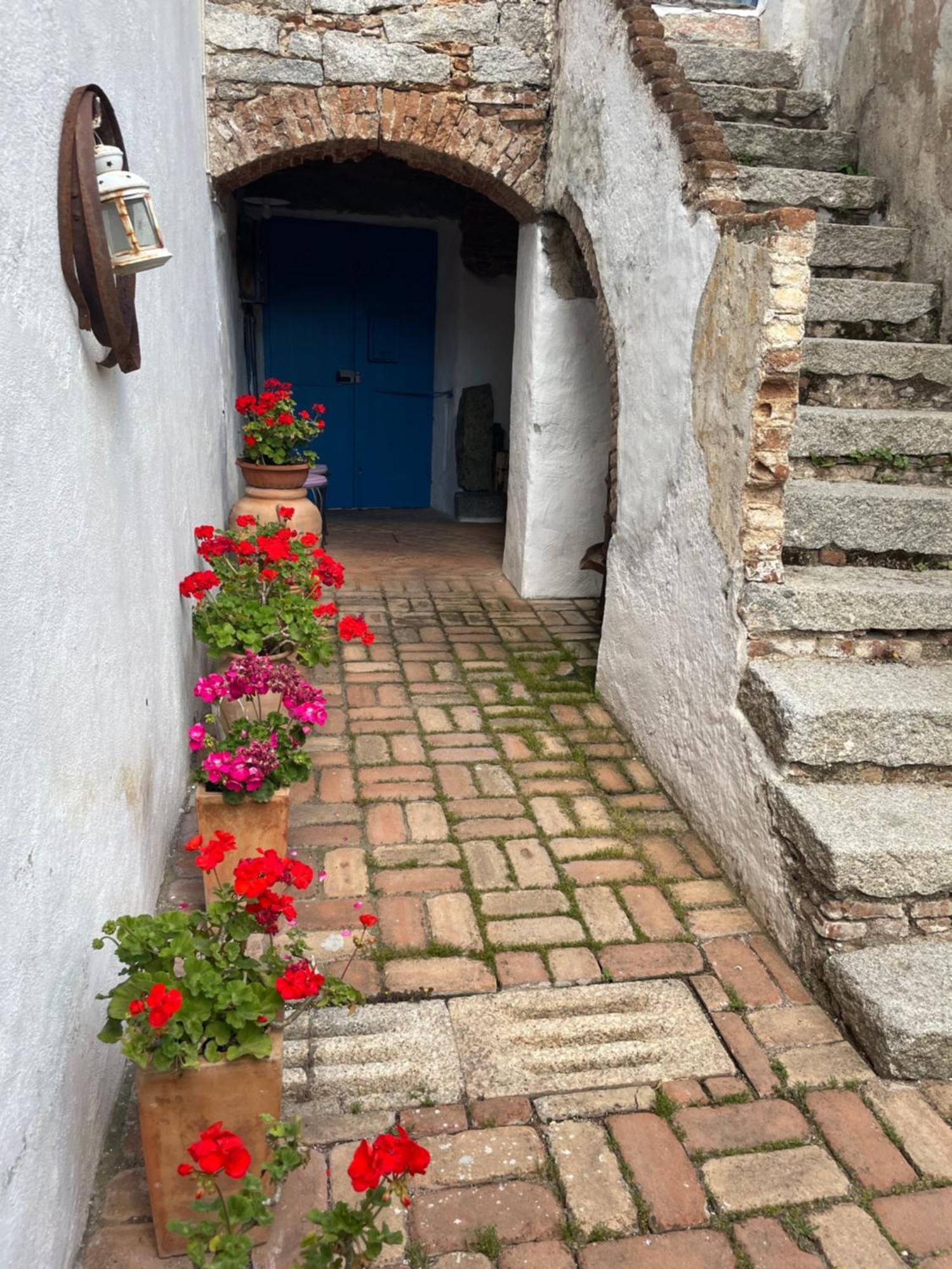 B&B Corte San Lussorio Oliena Dış mekan fotoğraf