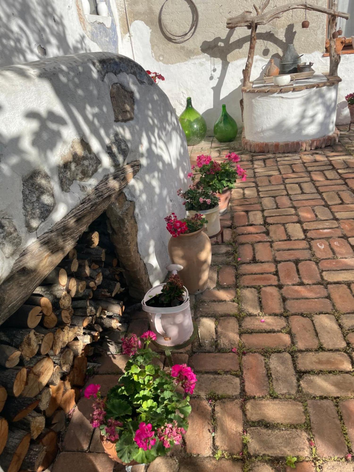 B&B Corte San Lussorio Oliena Dış mekan fotoğraf