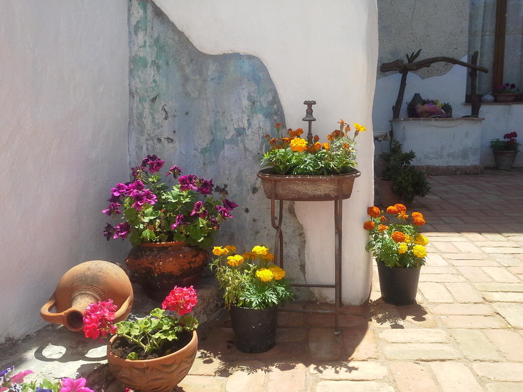 B&B Corte San Lussorio Oliena Dış mekan fotoğraf