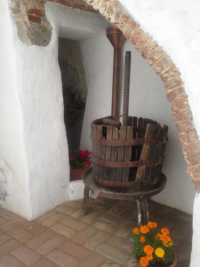 B&B Corte San Lussorio Oliena Dış mekan fotoğraf
