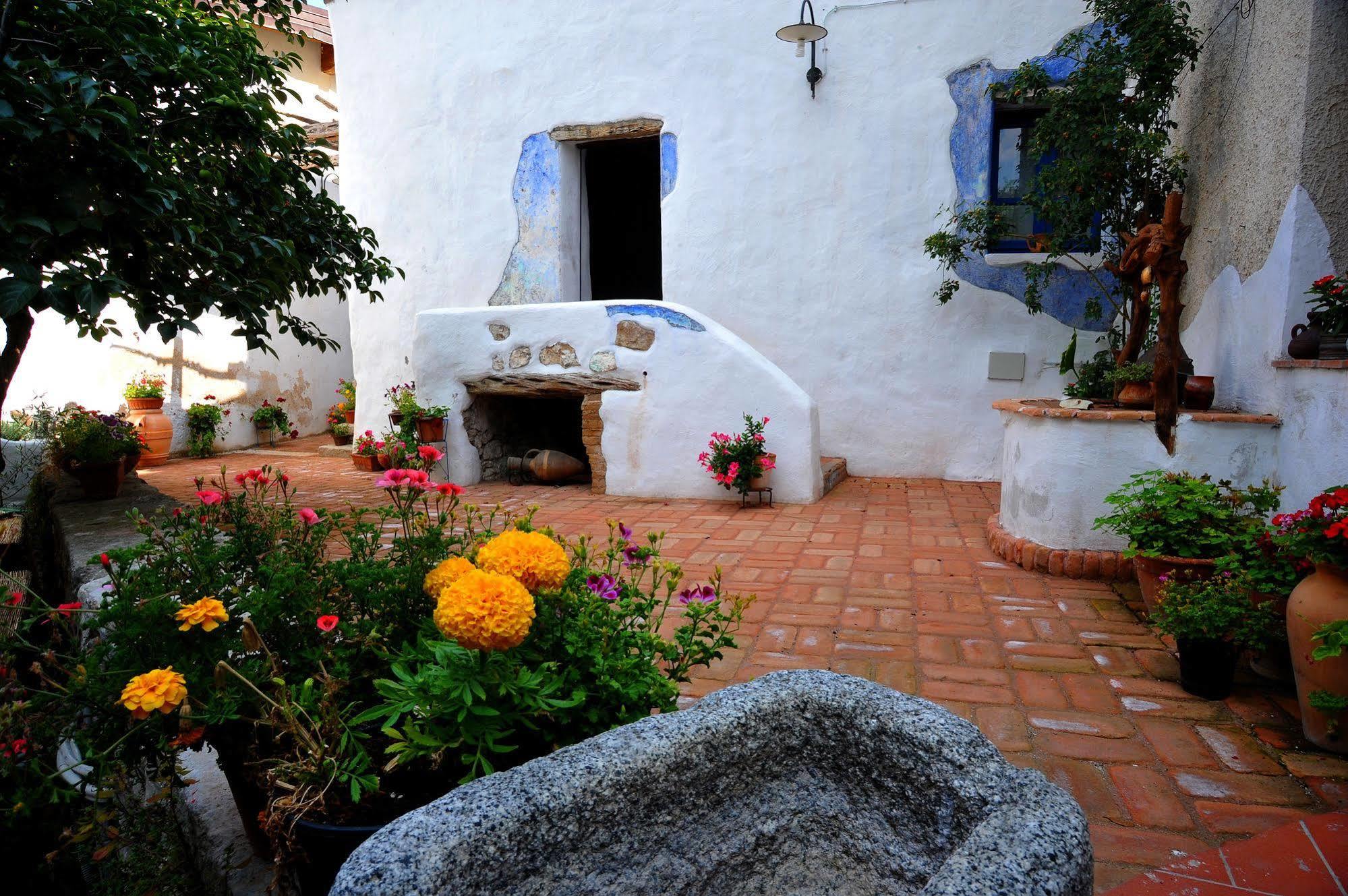 B&B Corte San Lussorio Oliena Dış mekan fotoğraf